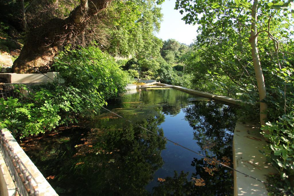 Villa Athina Argyroupoli Ruang foto